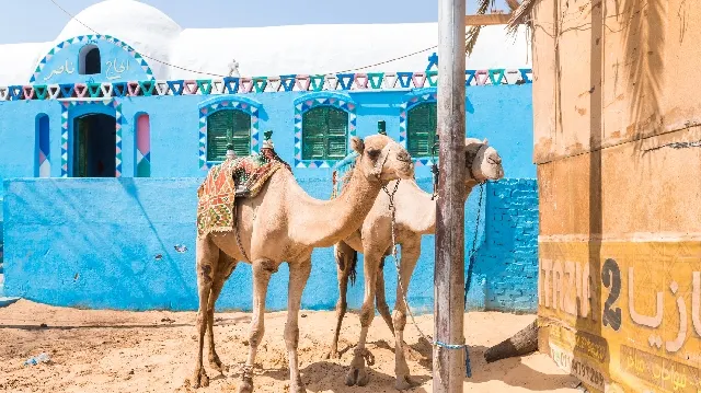 Tour to Aswan Nubian Village